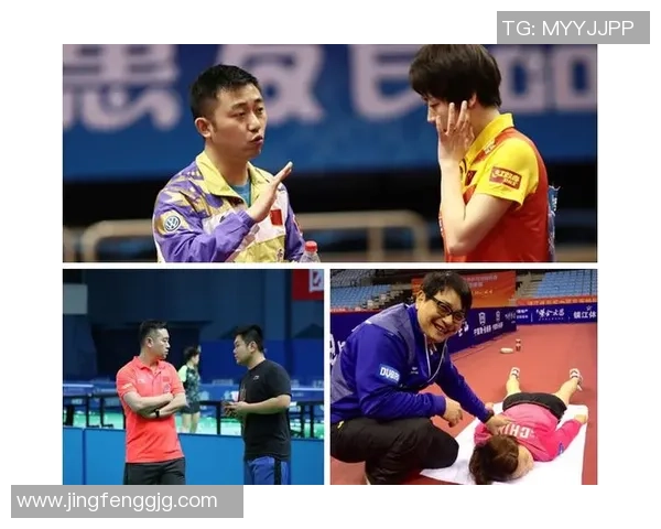 杭州乒乓球队速度表现的数据分析与未来发展趋势探讨